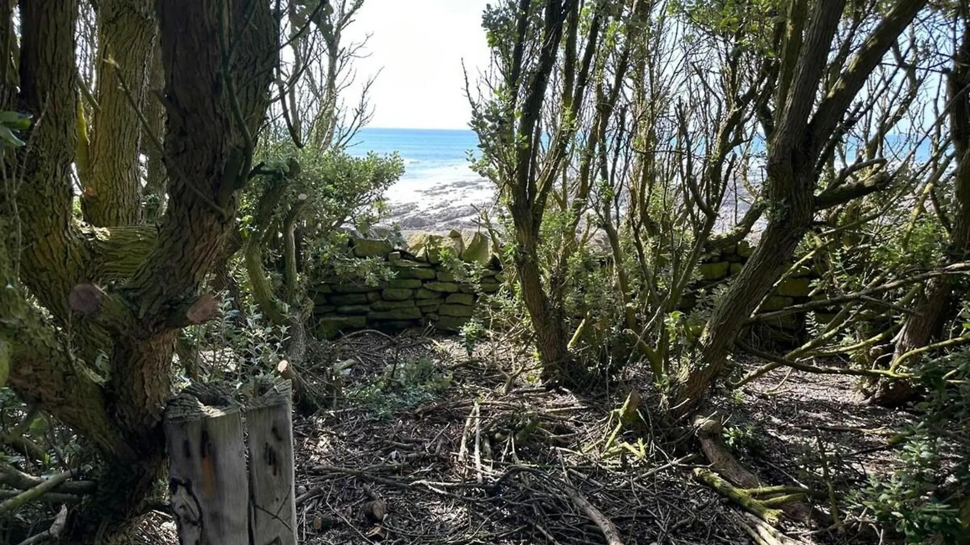 5 Bed-Sleeps 9-Sea View-Beach-Free Parking Plozevet Holiday home